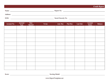 Credit Report Report Template