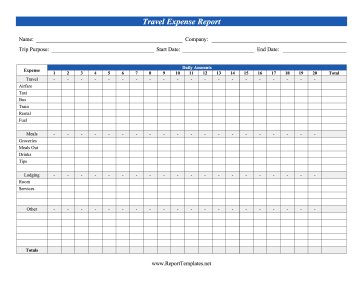 Travel Expense Report Report Template